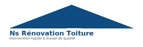 Ns Rénovation Toiture logo